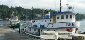 Ganges2011 015