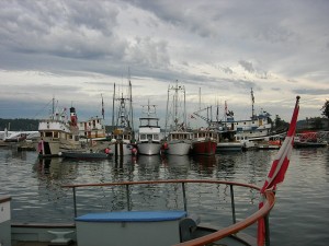 Ganges2011 036